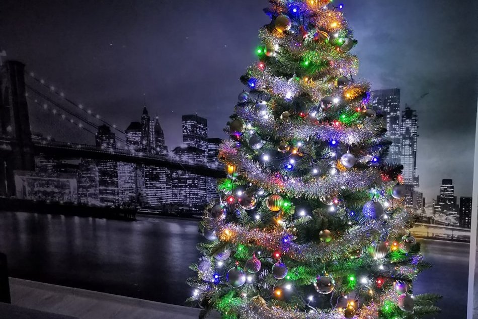 Ilustračný obrázok k článku Humenčania ukázali svoje vianočné stromčeky. Veľká GALÉRIA od našich čitateľov