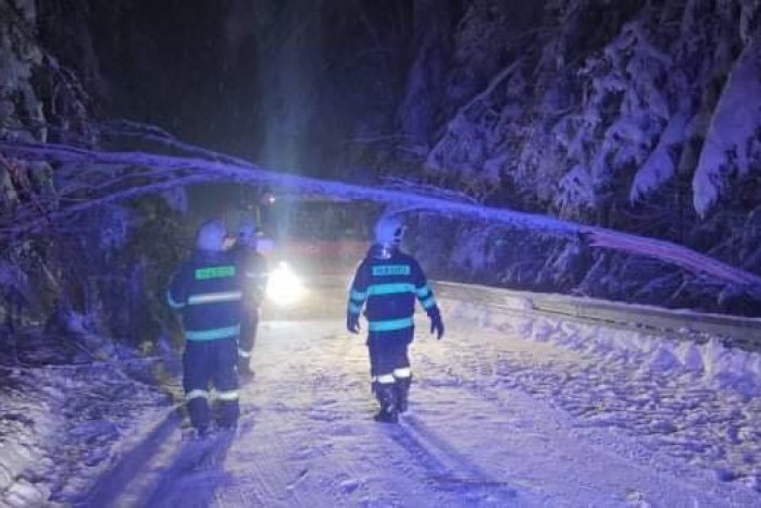 Ilustračný obrázok k článku Popadané stromy, ľad a kolóny: Policajti o aktuálnej situácii na ceste na Skalku