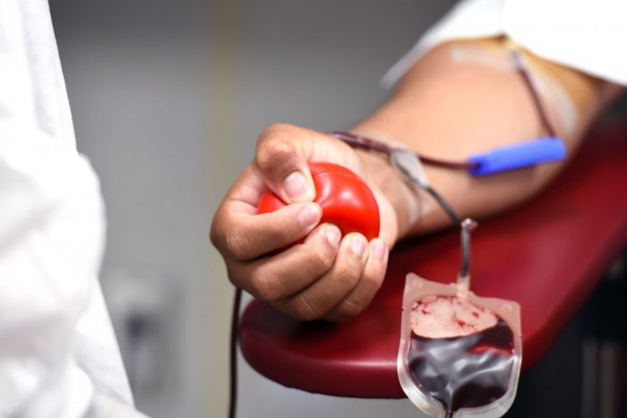 Ilustračný obrázok k článku Oslávte Valentína dobrým skutkom: Nemocnica v Rožňave pozýva páry na darovanie krvi