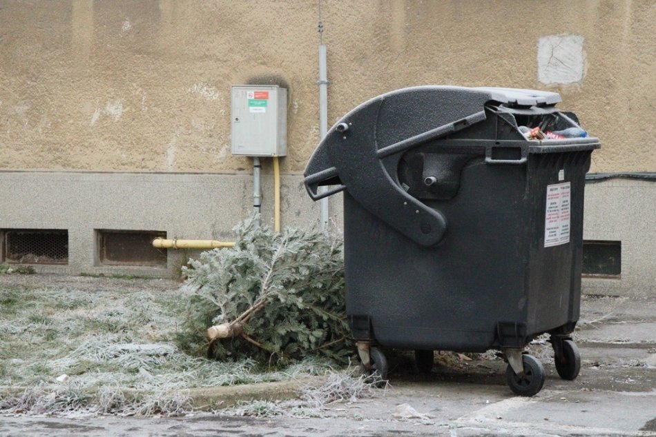 Ilustračný obrázok k článku Mesto Šaľa upozorňuje: Umelé stromčeky nepatria do kontajnerov na plast!