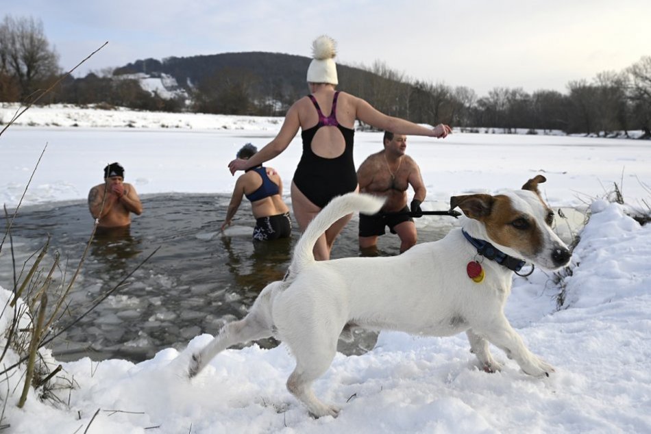 Ilustračný obrázok k článku Sú OTUŽILCI zdravší? Vedci dokázali, že plávanie v studenej vode JE prospešné!