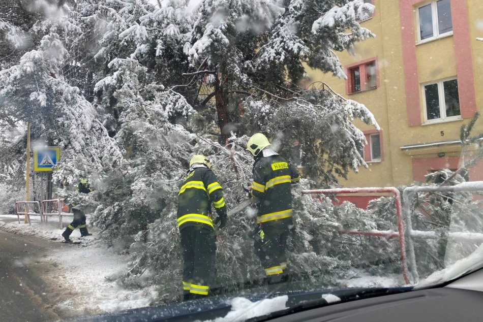 Ilustračný obrázok k článku Husté sneženie v Prešove: Mechanizmy sú v akcii, na Smrekovej a Dubovej spadli stromy!