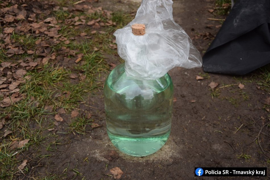 Ilustračný obrázok k článku V Trnavskom kraji vyčíňal pivničný fantóm: UIakomil sa aj na slivovicu, FOTO