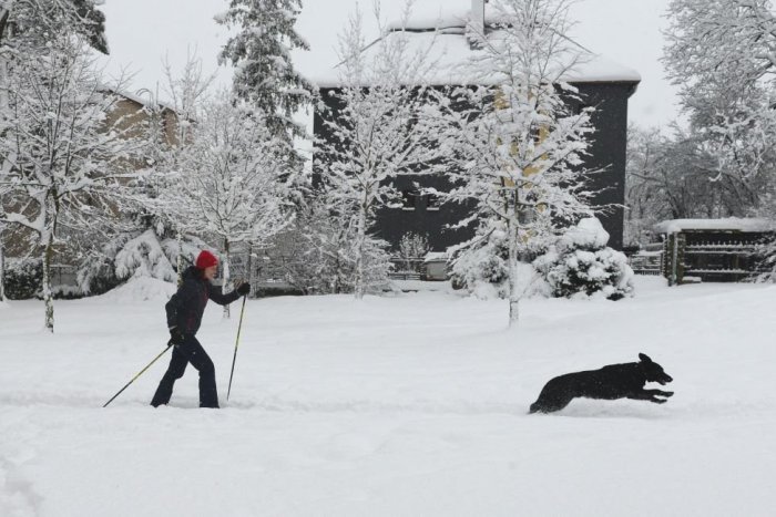 Ilustračný obrázok k článku Zima sa hlási o slovo: Niektoré kraje môžu zasypať centimetre snehu