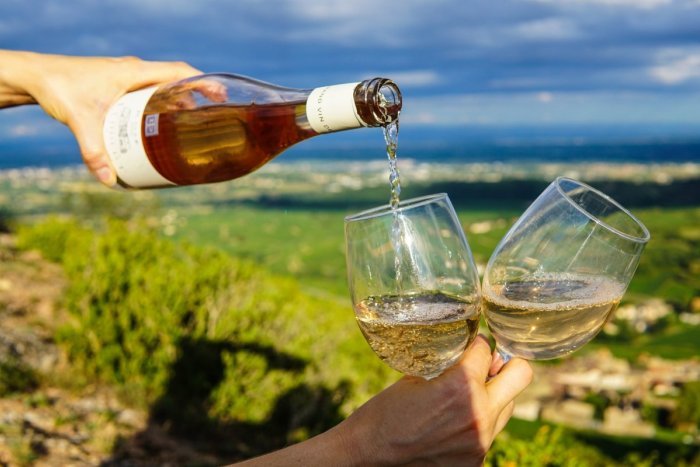 Ilustračný obrázok k článku Slovenskí vinohradníci sú na kolenách! Pre malé vinárstva sú obmedzenia LIKVIDAČNÉ