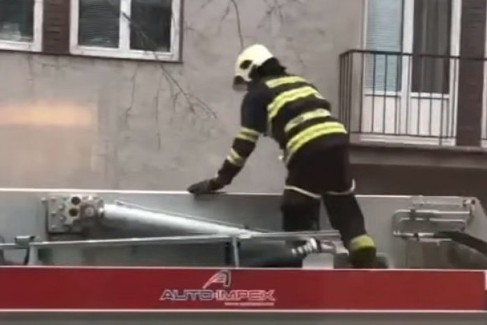 Ilustračný obrázok k článku Kuriózna záchranná akcia: Toto zviera by bez zásahu hasičov čakala istá smrť + VIDEO