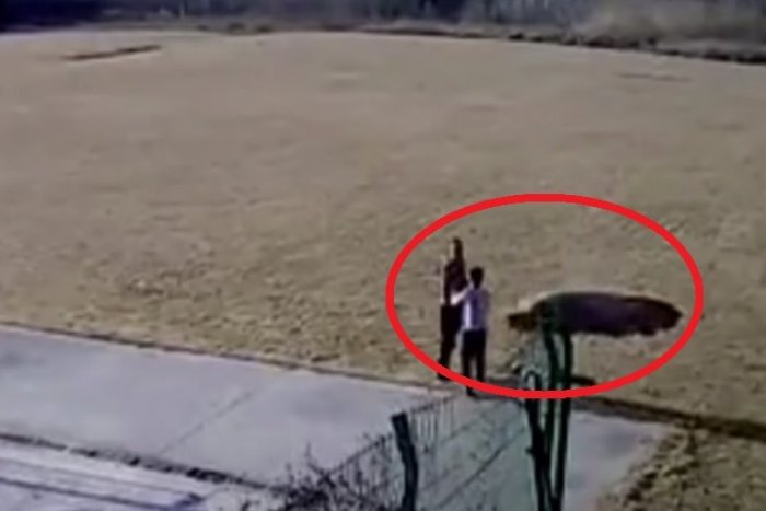 Ilustračný obrázok k článku KURIOZITA DŇA: Chcel synovi ukázať experiment s lupou, potom zmizol trávnik, VIDEO