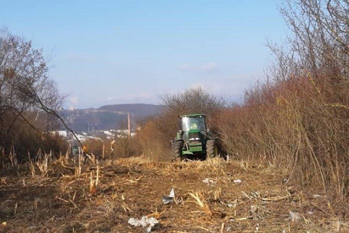 Ilustračný obrázok k článku Koniec diviakom na Ťahanovciach? Mestská časť likviduje náletové dreviny, FOTO