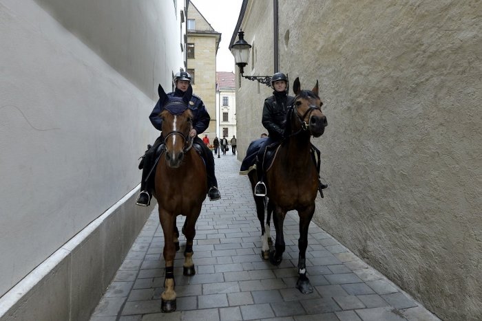 Ilustračný obrázok k článku Odzvonilo jazdeckej polícii už definitívne? Čo bude s koňmi?