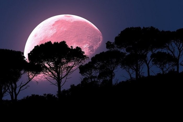 Ilustračný obrázok k článku Aprílový spln bude výnimočný: Uvidíme v noci RUŽOVÝ Mesiac?