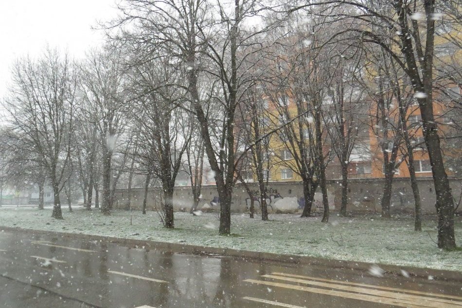 Ilustračný obrázok k článku Situácia na cestách v Prešovskom kraji? Problémy spôsobuje sneh aj popadané stromy