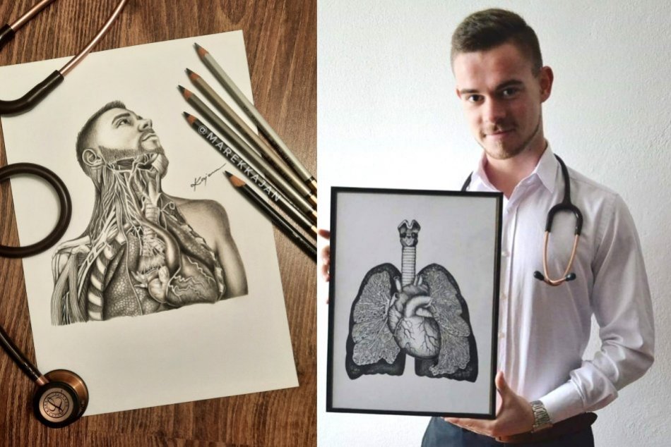 Ilustračný obrázok k článku Ľudské orgány ako umenie: Mladý študent medicíny kreslí výnimočné obrazy