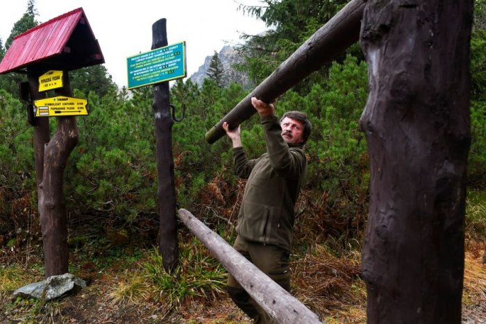 Ilustračný obrázok k článku Tatranskí lesníci majú na jar plné ruky práce: 300-tisíc sadeníc zďaleka nie je všetko