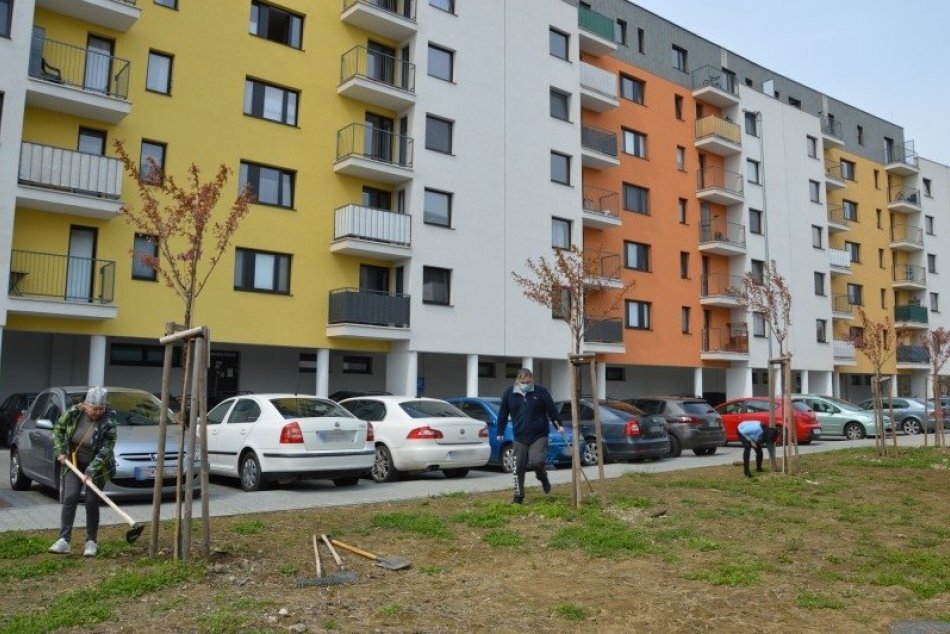 Ilustračný obrázok k článku Šaľania rozhodli v prieskume: TOTO nám v meste chýba najviac!