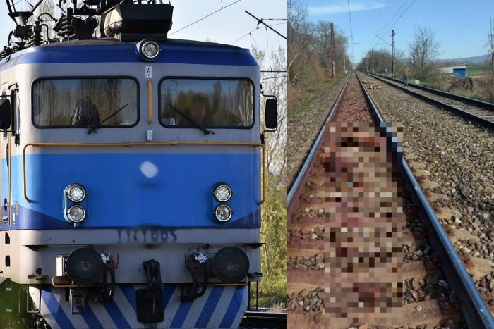 Ilustračný obrázok k článku Tragédia na železnici: Pod kolesami vlaku uhynula črieda jeleňov a laní, FOTO