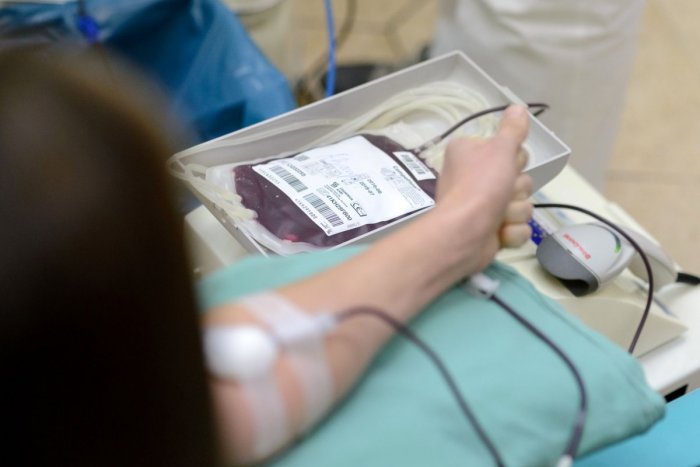 Ilustračný obrázok k článku Považskobystrická nemocnica má nedostatok krvi: KEDY a AKO ju možno ísť darovať?