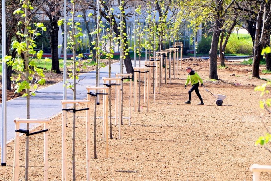 Ilustračný obrázok k článku Nové chodníky a veľa zelene: Areál SPU v Nitre sa mení na nepoznanie, FOTO