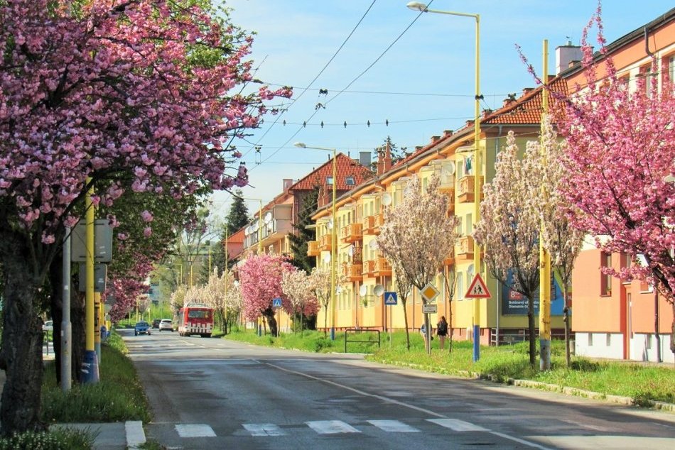 Ilustračný obrázok k článku Už je celá ulica nádherne zafarbená: Na 17. novembra to vo veľkom žiari, FOTO