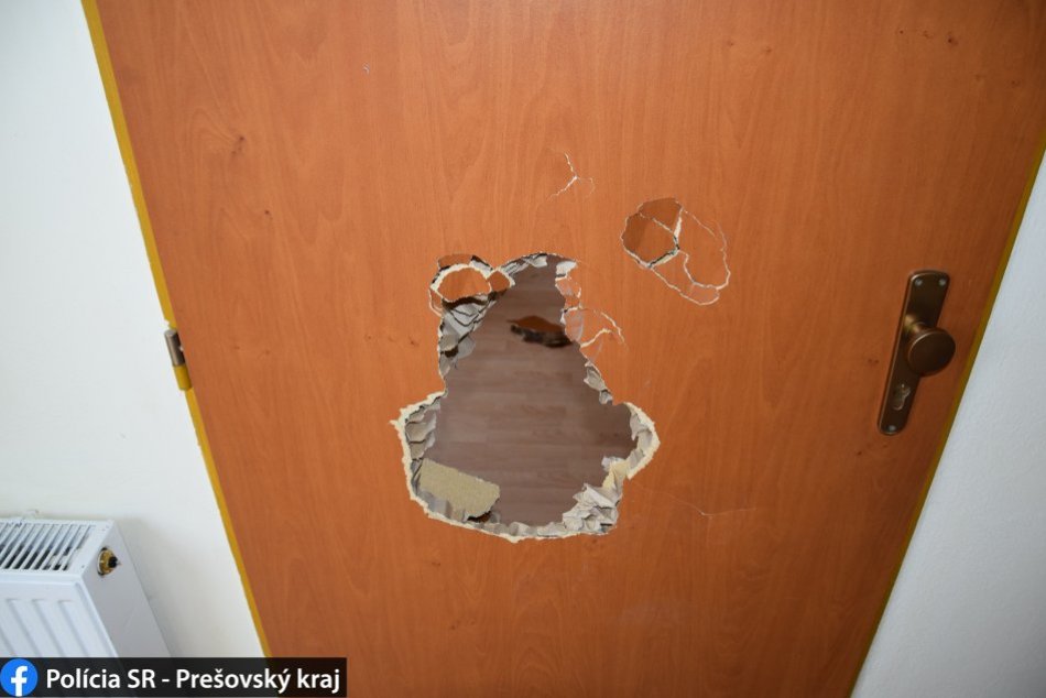 Ilustračný obrázok k článku Na Slovenskej v Prešove niekto od januára ničil byt: Vytrhol aj dosku na záchode