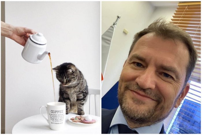 Ilustračný obrázok k článku Mačacia kaviareň pozýva Matoviča na kávu: Igor, šampón prežiješ, my ale potrebujeme pomoc