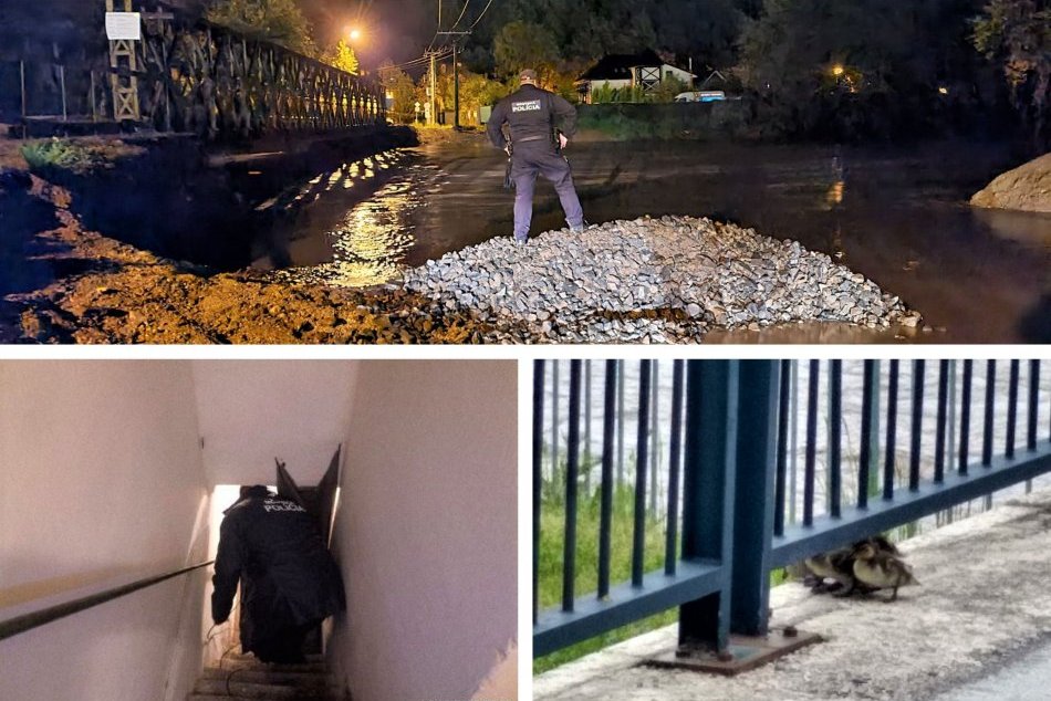 Ilustračný obrázok k článku Mestskí policajti sa počas povodňovej situácie v Bystrici nenudili: Asistovali aj kačke, FOTO