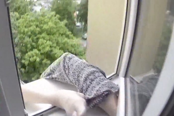 Ilustračný obrázok k článku Seniorka pri plašení holubov vypadla z okna: Visela dolu hlavou na siedmom poschodí!