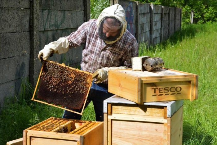 Ilustračný obrázok k článku Tesco prekvapilo včelími úľmi pri obchode, pripomenulo si tak Svetový deň životného prostredia