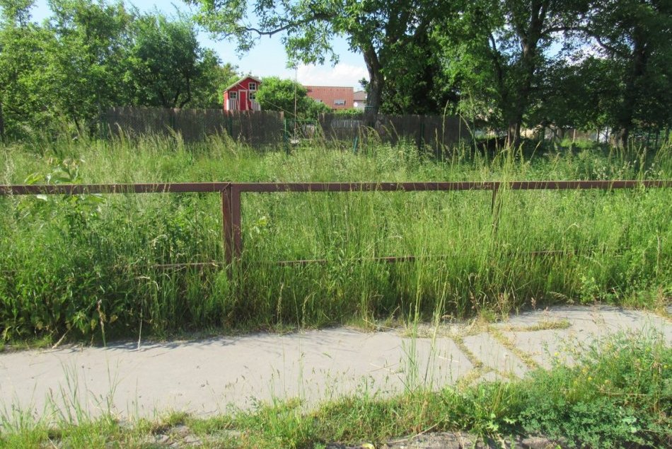Ilustračný obrázok k článku Stále sú v Prešove viaceré zarastené plochy: Bude sa v meste ešte kosiť?