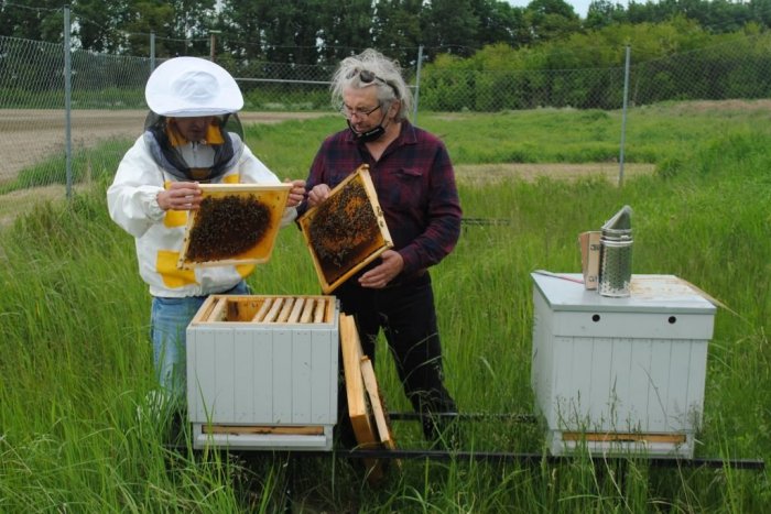 Ilustračný obrázok k článku Priemyselný park si ctí prírodu: Popri prevodovkách vyrábajú aj med