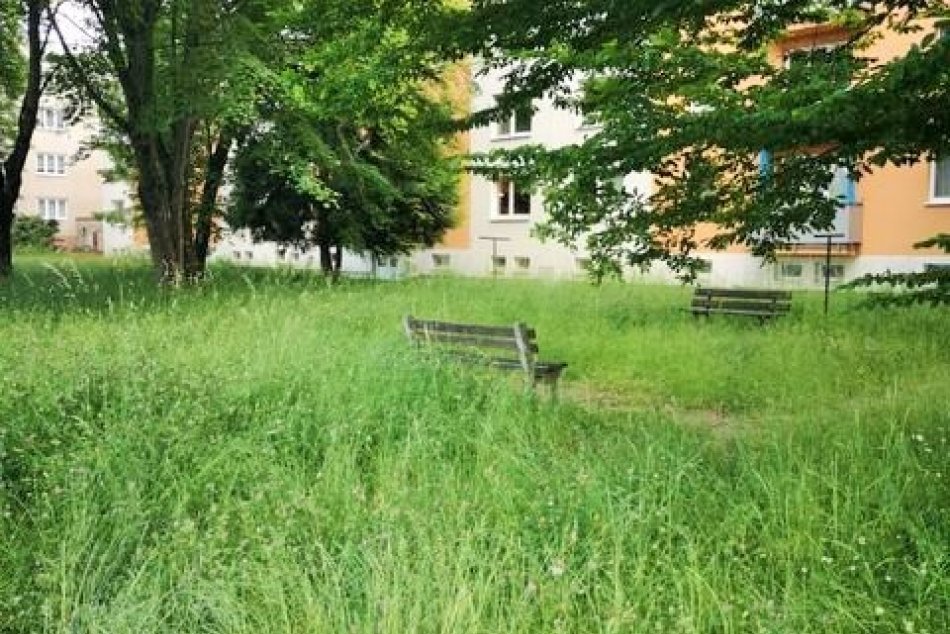 Ilustračný obrázok k článku Prešov je stále akoby v DŽUNGLI: Mesto si chce uplatniť pokutu za omeškanie kosby!