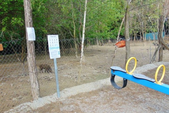 Ilustračný obrázok k článku Mesto reaguje na situáciu v Berku: Niektoré zvieratá sa snažili podhrabať