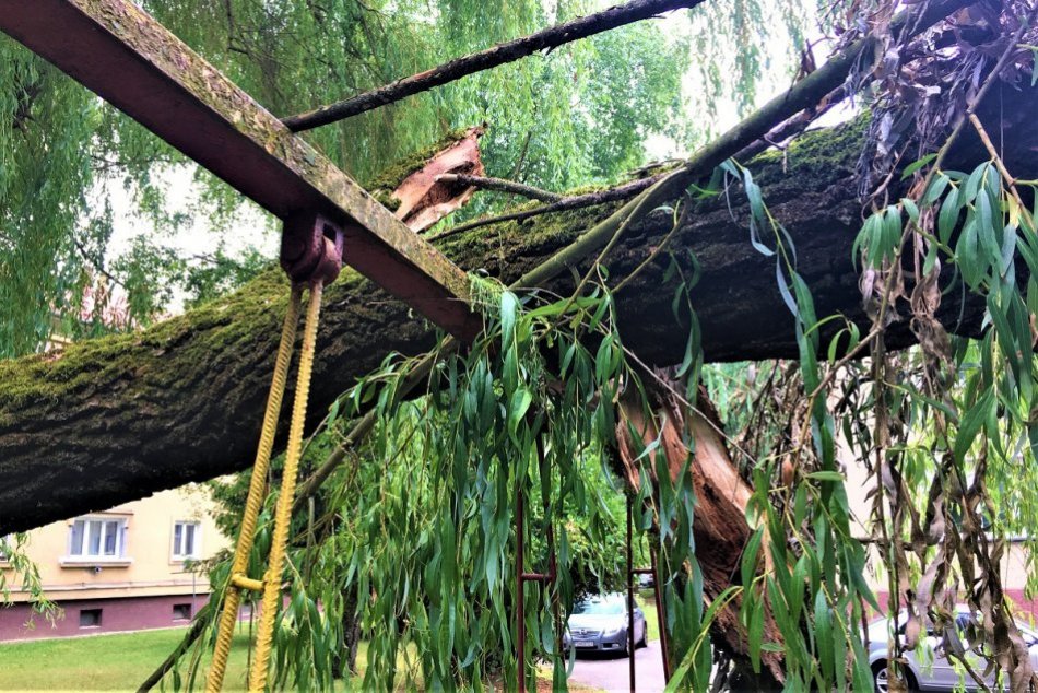 Ilustračný obrázok k článku Búrka zamestnala technické služby v Hrádku: Likvidovali poškodené stromy