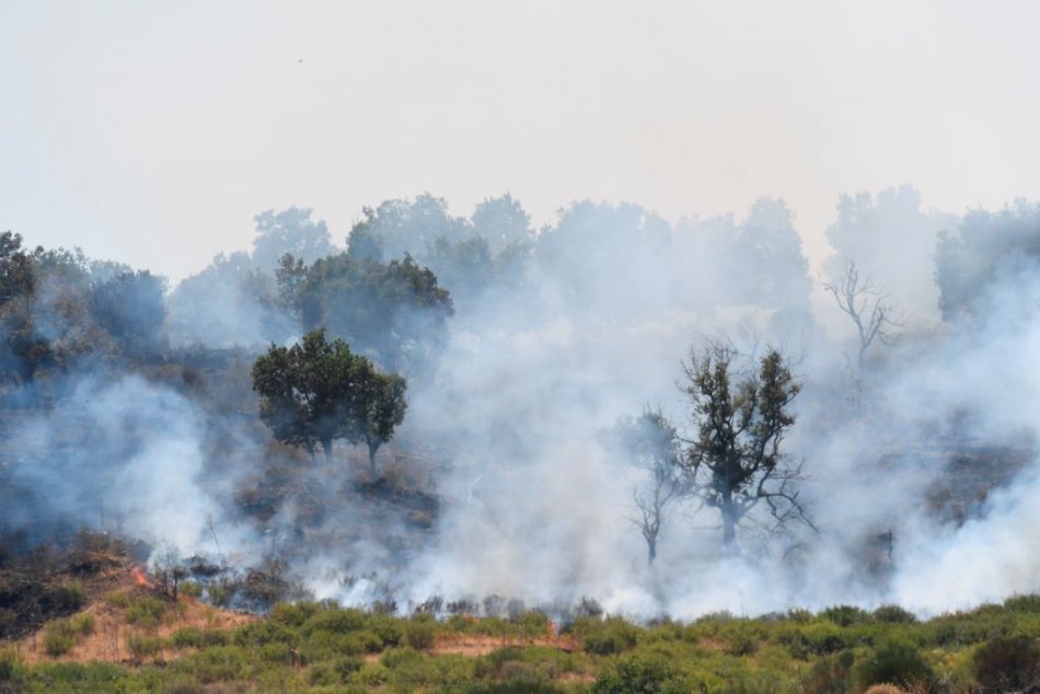 Ilustračný obrázok k článku Kto stojí za lesnými požiarmi v Taliansku? Polícia obvinila takmer 130 ľudí