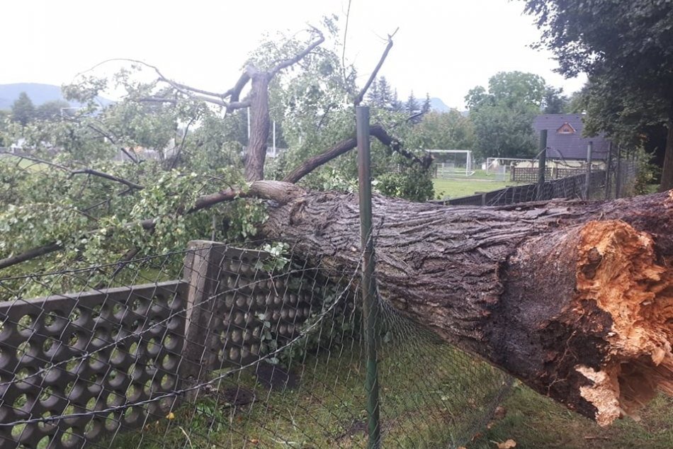 Ilustračný obrázok k článku Po búrke zostala v žiarskom parku spúšť: Spadnutý strom, zasiahnuté je aj kúpalisko