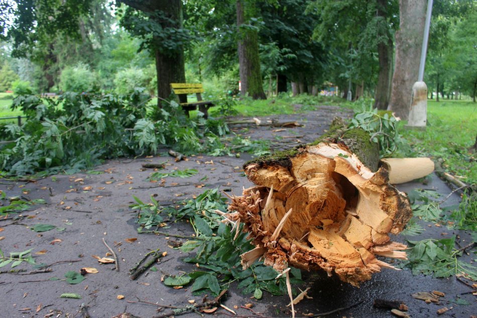 Ilustračný obrázok k článku Po horúčavách prišli NIČIVÉ BÚRKY: Vyvrátené stromy zabili dvoch ľudí!