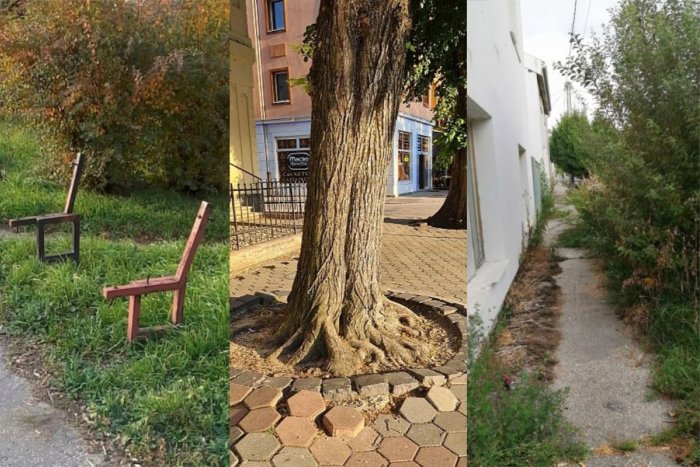 Ilustračný obrázok k článku TOP samosprávy, ktoré riešili občianske podnety: Ako dopadli Nové Zámky?