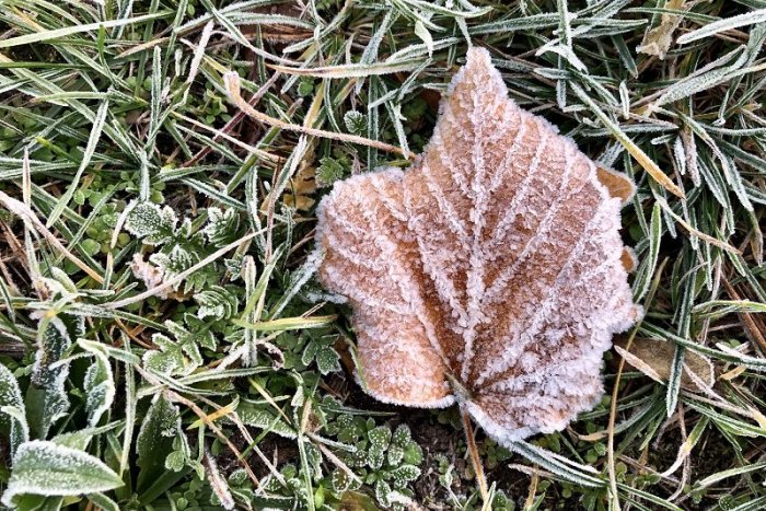 Ilustračný obrázok k článku Čaká nás slnečné, ale studené počasie: Blížia sa mrazy, teplota poklesne k -5 °C