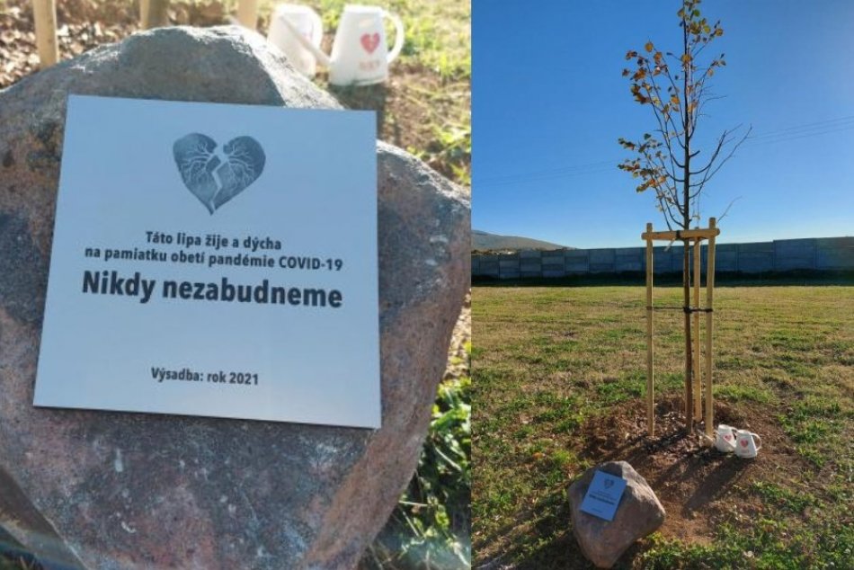 Ilustračný obrázok k článku Zlaté Moravce majú živý pamätník: Na cintoríne zasadili lipu pre obete pandémie