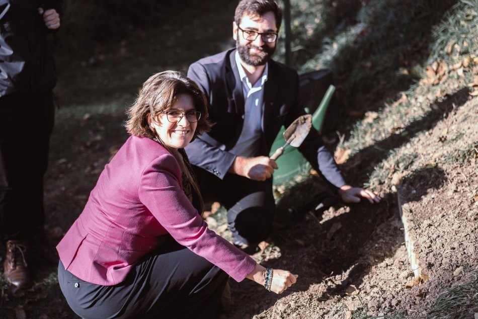 Ilustračný obrázok k článku Primátor privítal veľvyslankyňu Holandska: Spolu vysadili tulipány v Hideparku