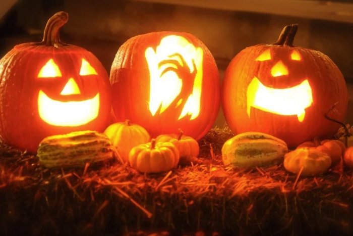 Ilustračný obrázok k článku Pri Nitre sa začína jesenný samozber TEKVÍC: Majú aj odrody na Halloween