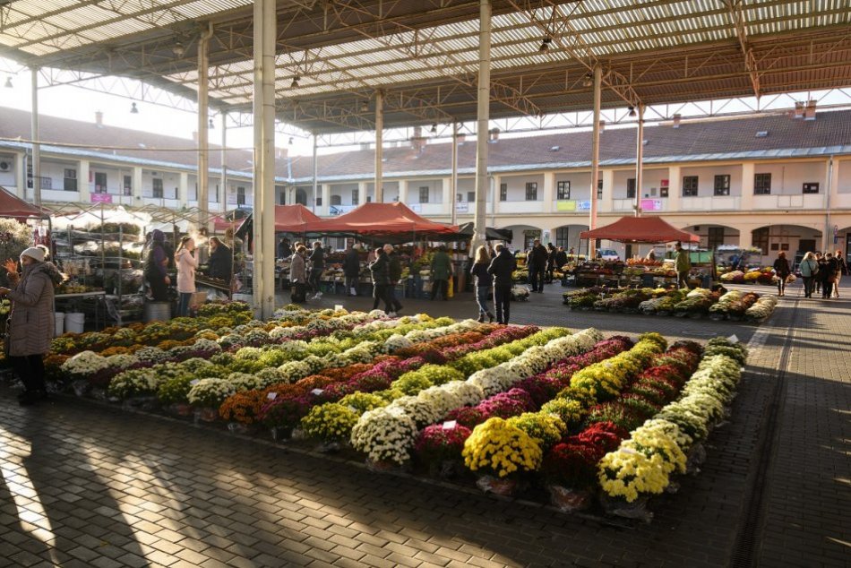 Ilustračný obrázok k článku Nitrania sa pripravujú na Dušičky: Tržnica je plná farebných kvetov, FOTO