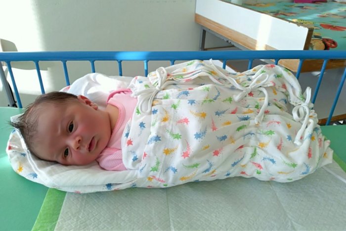 Ilustračný obrázok k článku Považskobystrická pôrodnica zažíva BOOM: Nárast počtu bábätiek, tisíca je Miška