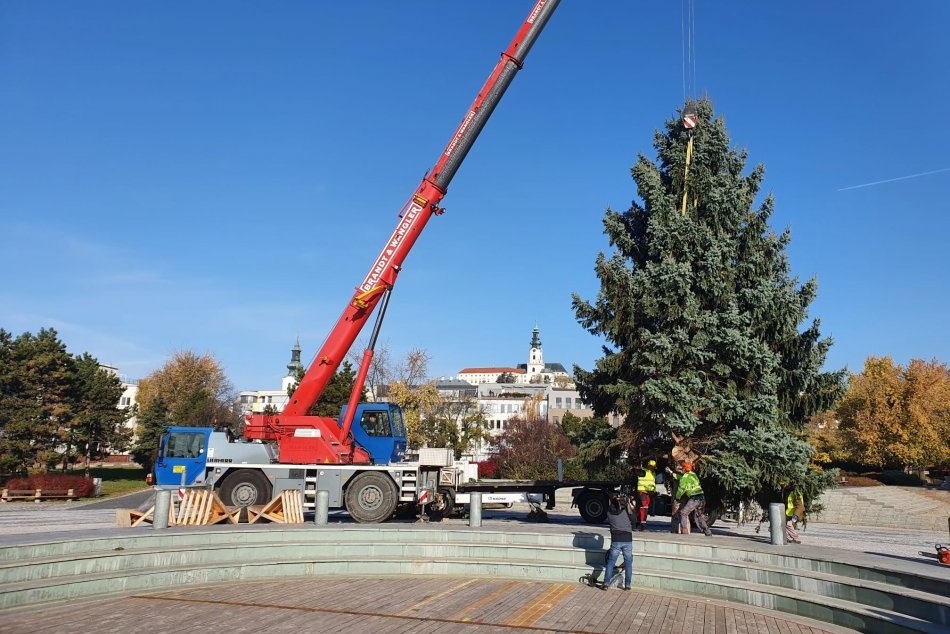 Ilustračný obrázok k článku Nitra už má vianočný stromček: Trhy sa začnú koncom novembra, FOTO