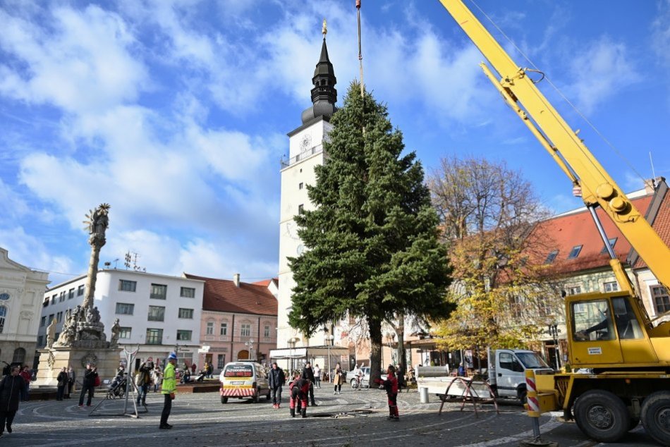 Ilustračný obrázok k článku Námestie bude zdobiť tradičný vianočný stromček: Privezú ho z Modranky