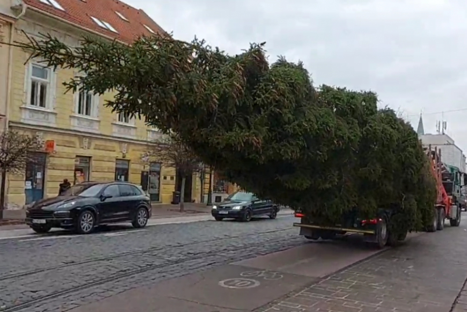 Ilustračný obrázok k článku Vianočný stromček dorazil do Košíc, FOTO a VIDEO