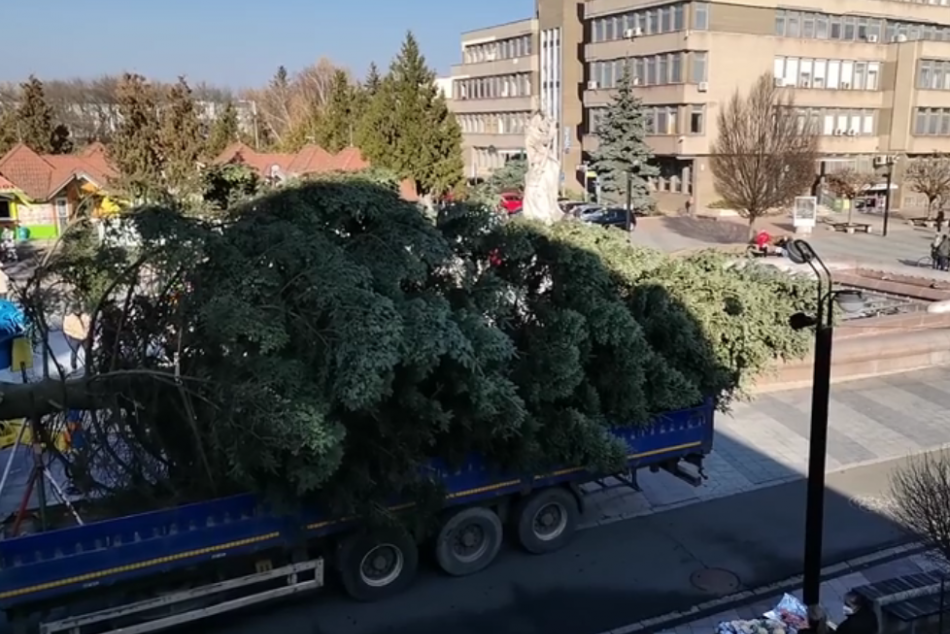 Ilustračný obrázok k článku Na michalovskom námestí už stojí vianočný stromček, VIDEO a FOTO