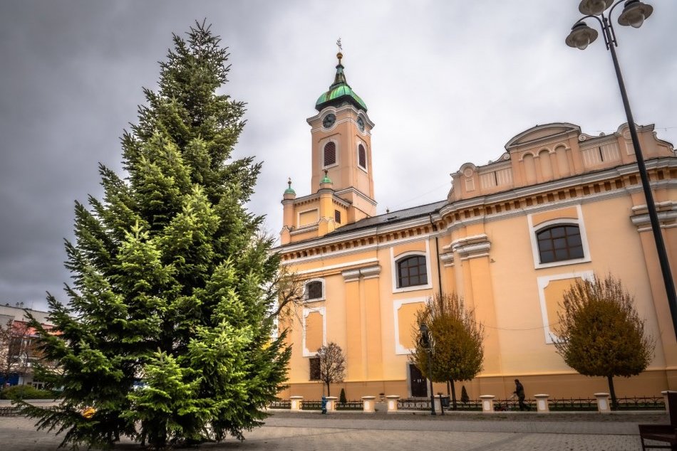 Ilustračný obrázok k článku Topoľčany sa pripravujú na Vianoce: Hľadajú stromček, ktorý bude zdobiť námestie