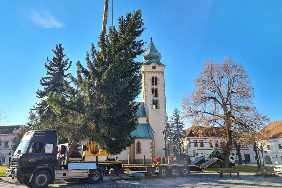 Ilustračný obrázok k článku Bol odsúdený na výrub, teraz je ozdobou centra: V Mikuláši osadili vianočný stromček, FOTO