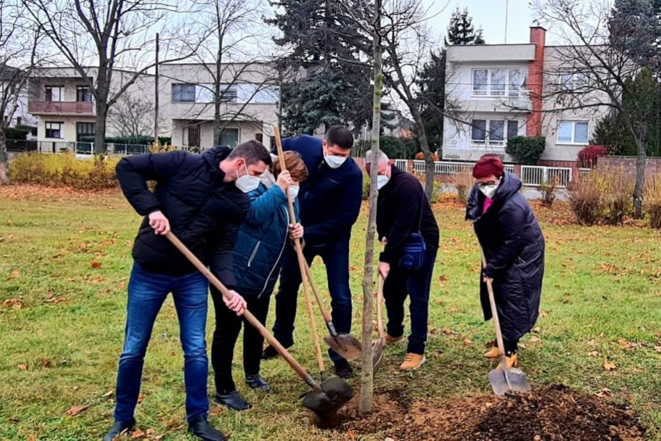 Ilustračný obrázok k článku Topoľčany majú živý pamätník: V parku zasadili lipu pre obete pandémie