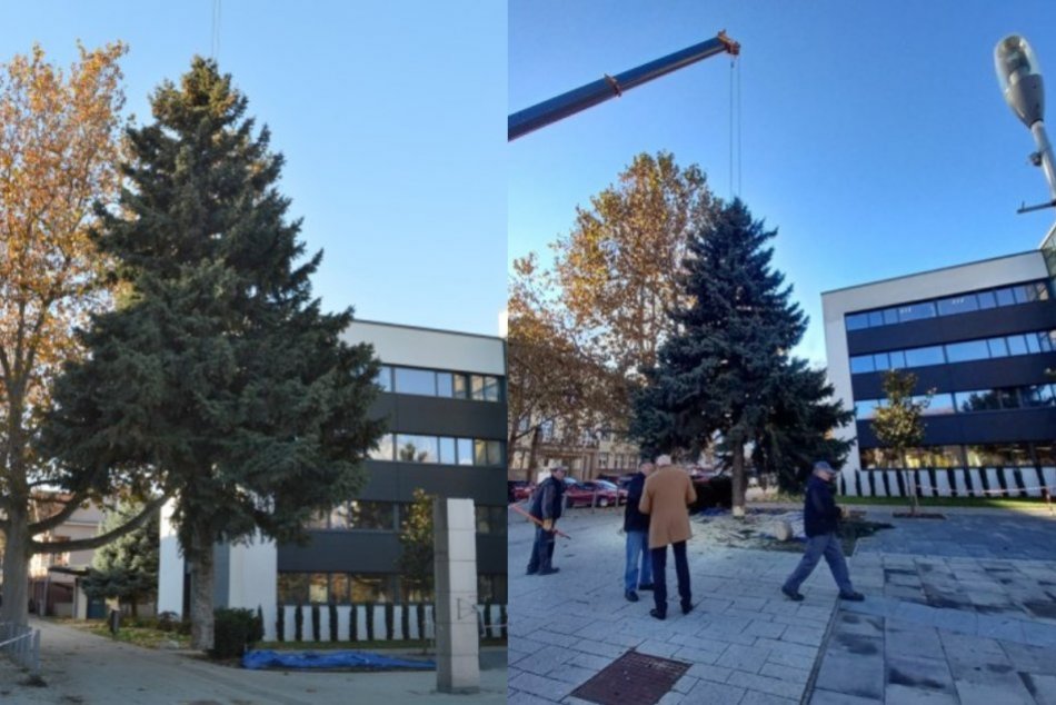 Ilustračný obrázok k článku Sviatky prichádzajú aj do Šale: Pred úradom osadili vianočný stromček, FOTO